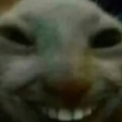 n4lmesius_RU